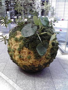 2008081910590000.jpg