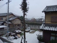 りぇ☆ずむ-DSCF2501.JPG