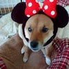 ブログネタ♪の画像