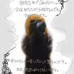 好きだから…-120230183849.jpg