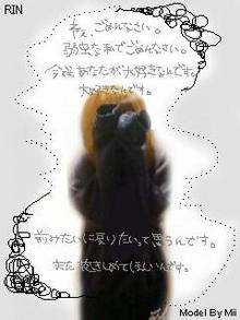 好きだから…-120230183849.jpg