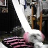 黄泉の道？の画像