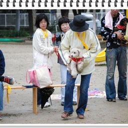 画像 【わんわん運動会ｉｎ２００８！！】Part４ の記事より 16つ目