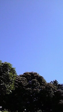 2008080714550000.jpg