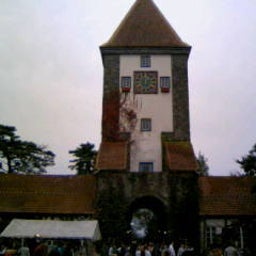 081026_125925.JPG