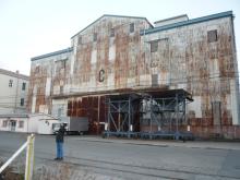 oko