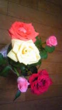 Image131.jpg