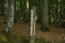 美人林