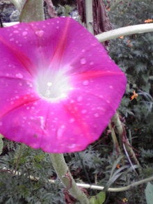 2008082411360001.jpg