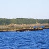 2009.2.1の画像