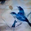 帯のＵＰの画像