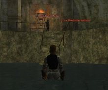 EQ2050517_02