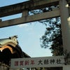 寒中見舞の画像
