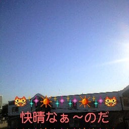 画像 良いお天気なのだ(*´∇`) の記事より