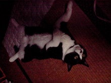 2008070421400000.jpg