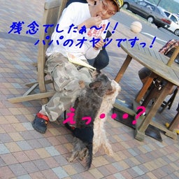 画像 ２００８年　遠足♪　土岐プレミアムアウトレット！！ の記事より 14つ目