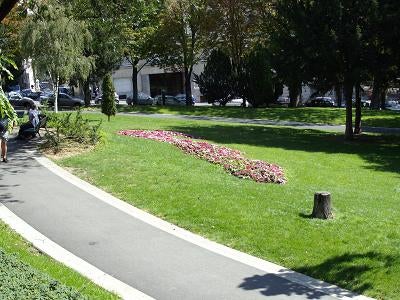 blumen