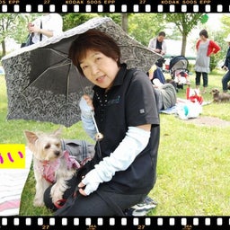 画像 ２００８年　遠足♪木曽三川公園！！ の記事より 6つ目