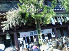 赤い翔馬-NEC_1076.jpg