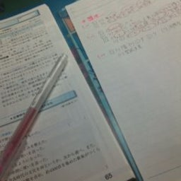 夢想―musou―-090129_2242~01.jpg