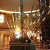 2008/12/31の画像