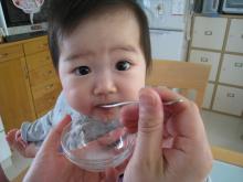 『日々これネタ』-080927薬パク.jpg