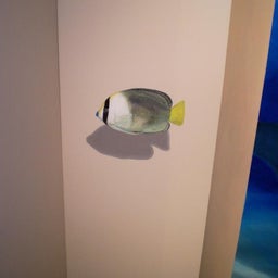 画像 トリックアート の記事より 4つ目