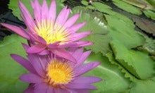 CA390031.JPG
