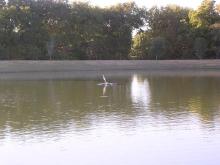 park9