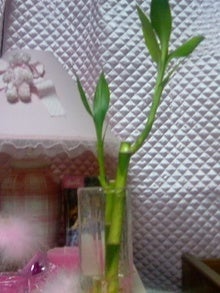 画像-0136.jpg