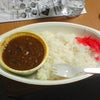 今日からの画像