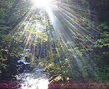 20071021154006.jpg