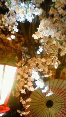 夜桜1