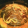 食い散らかし〜の画像