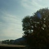 お墓参りに行くのだ☆の画像