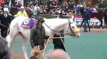競馬日記-20090121152802.jpg