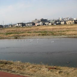 canolog