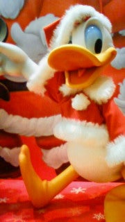 200811012054001.jpg