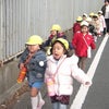 初詣の画像