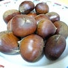 あきの画像