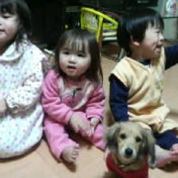 2008120200590000.jpg