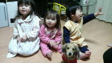 2008120200590000.jpg
