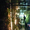 2009/02/15の画像