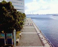 200609100811000.jpg