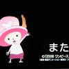 冬に咲く奇跡の桜の画像
