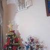 ★Christmas tree★の画像
