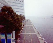 200607161208000.jpg