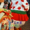 ちょーむかつくの画像