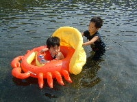 カニの浮き輪