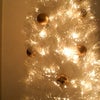 ★12月日★の画像